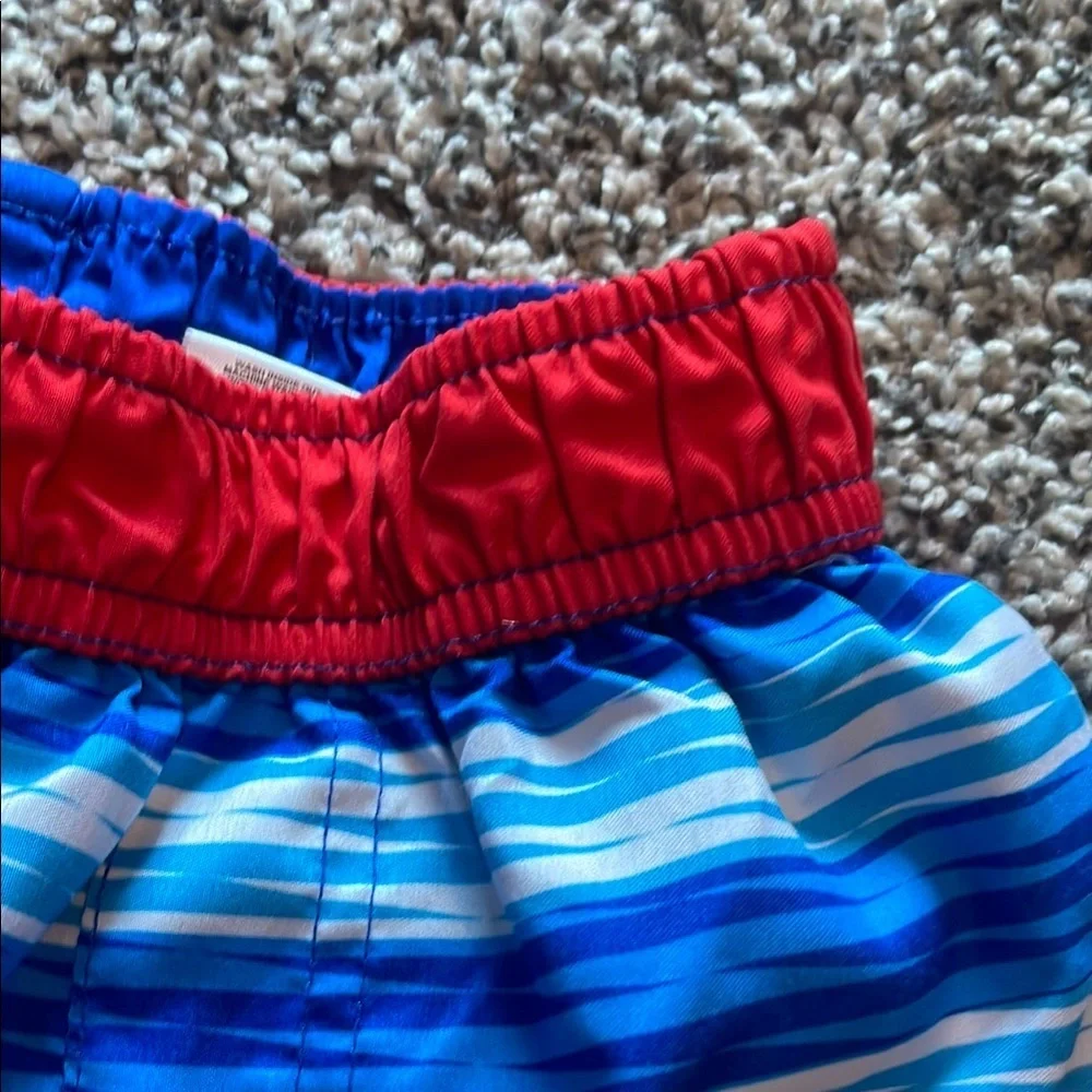 PJ Masks Kids Swim Trunks - Colorful Stripes